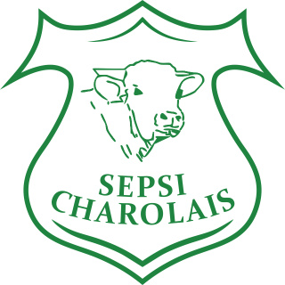 Sepsi Charolais logo