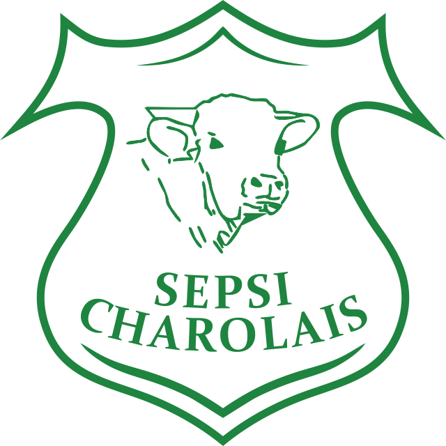 Sepsi Charolais